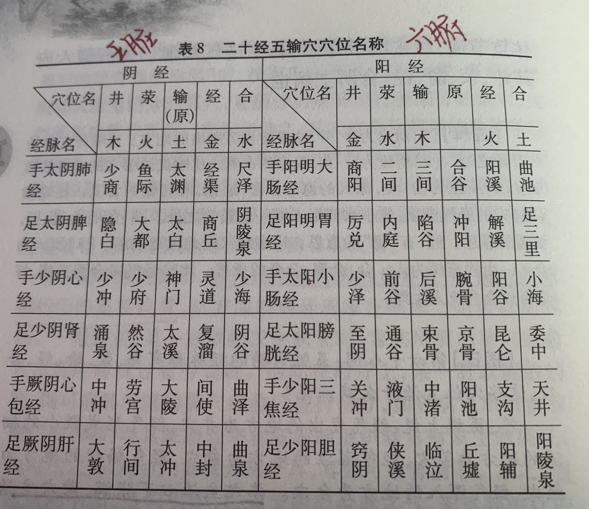 《难经》第六十八难完整原文及译文解析 – 中医之道
